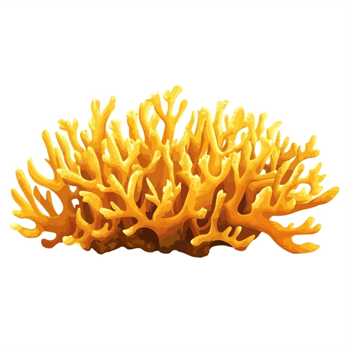 Under the Sea Theme Sea Coral Transparent Sticker